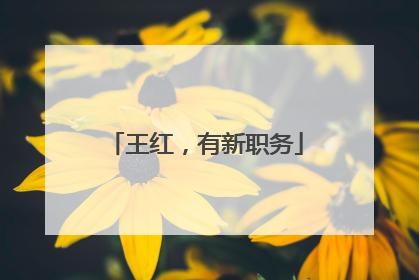 王红，有新职务