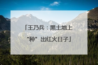 王乃兵：黑土地上“种”出红火日子