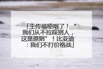 王传福哽咽了！“我们从不拉踩别人，这是原则”！比亚迪：我们不打价格战