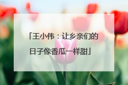 王小伟：让乡亲们的日子像香瓜一样甜