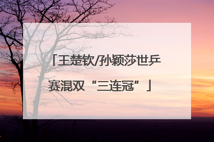 王楚钦/孙颖莎世乒赛混双“三连冠”