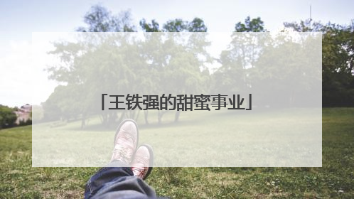 王铁强的甜蜜事业