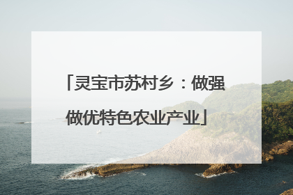 灵宝市苏村乡：做强做优特色农业产业