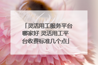 灵活用工服务平台哪家好 灵活用工平台收费标准几个点