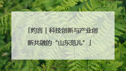 灼言｜科技创新与产业创新共融的“山东范儿”