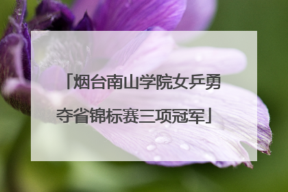 烟台南山学院女乒勇夺省锦标赛三项冠军