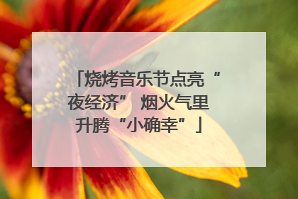 烧烤音乐节点亮“夜经济” 烟火气里升腾“小确幸”