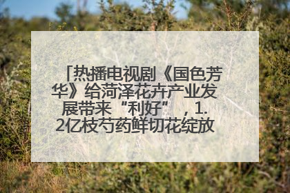 热播电视剧《国色芳华》给菏泽花卉产业发展带来“利好”，1.2亿枝芍药鲜切花绽放“国色芳华”