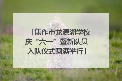 焦作市龙源湖学校庆“六一”暨新队员入队仪式圆满举行