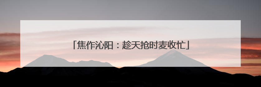 焦作沁阳：趁天抢时麦收忙