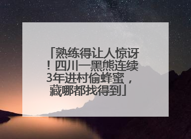 熟练得让人惊讶！四川一黑熊连续3年进村偷蜂蜜，藏哪都找得到