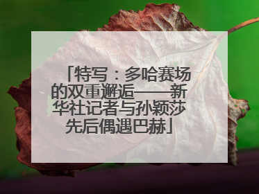 特写：多哈赛场的双重邂逅——新华社记者与孙颖莎先后偶遇巴赫