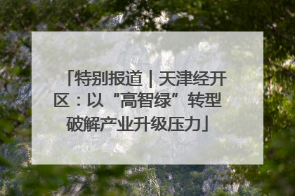 特别报道｜天津经开区：以“高智绿”转型破解产业升级压力