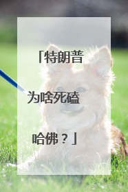特朗普为啥死磕哈佛？