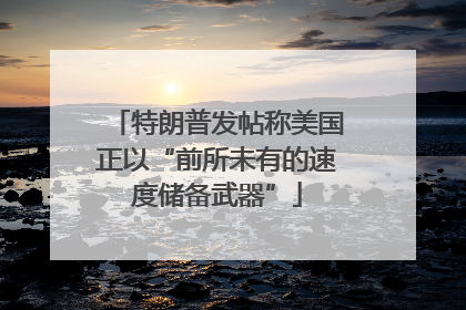 特朗普发帖称美国正以“前所未有的速度储备武器”