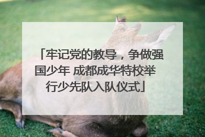 牢记党的教导，争做强国少年 成都成华特校举行少先队入队仪式