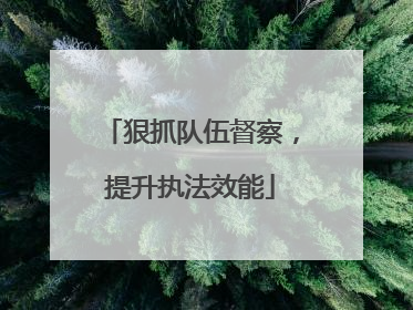 狠抓队伍督察，提升执法效能