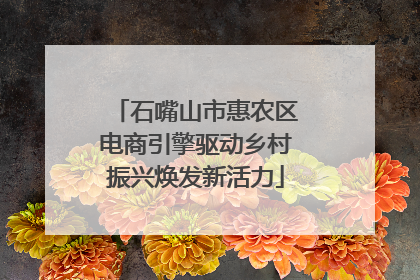 石嘴山市惠农区电商引擎驱动乡村振兴焕发新活力