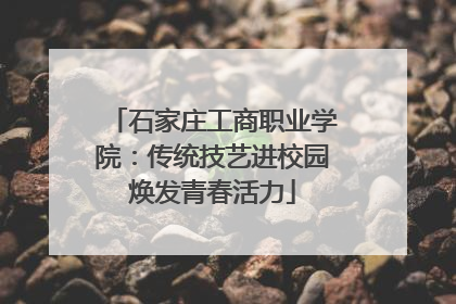 石家庄工商职业学院：传统技艺进校园焕发青春活力