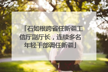 石如根跨省任新疆工信厅副厅长，连续多名年轻干部调任新疆