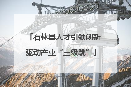 石林县人才引领创新驱动产业“三级跳”