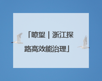 瞭望｜浙江探路高效能治理