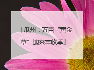 瓜州：万亩“黄金草”迎来丰收季