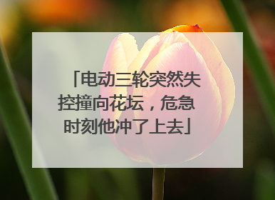 电动三轮突然失控撞向花坛，危急时刻他冲了上去