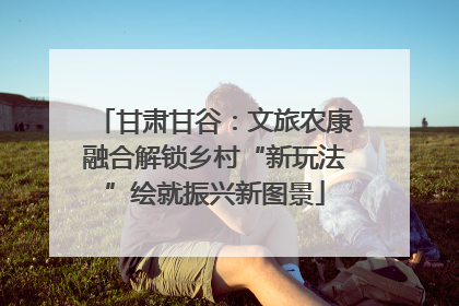 甘肃甘谷：文旅农康融合解锁乡村“新玩法”绘就振兴新图景