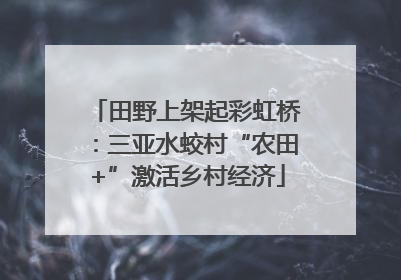 田野上架起彩虹桥：三亚水蛟村“农田+”激活乡村经济
