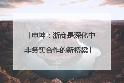 申坤：浙商是深化中非务实合作的新桥梁