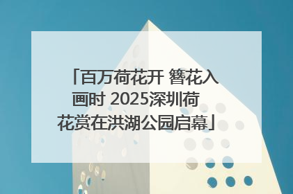 百万荷花开 簪花入画时 2025深圳荷花赏在洪湖公园启幕