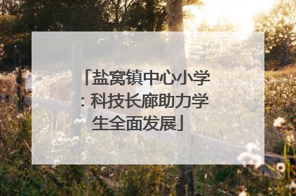 盐窝镇中心小学：科技长廊助力学生全面发展