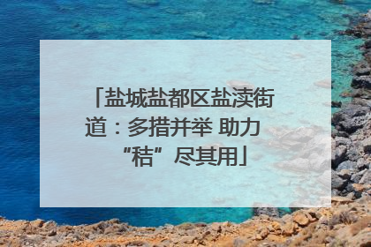 盐城盐都区盐渎街道：多措并举 助力“秸”尽其用