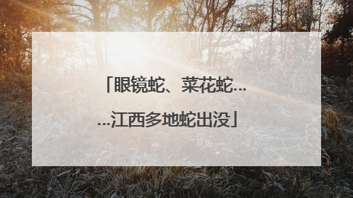 眼镜蛇、菜花蛇……江西多地蛇出没