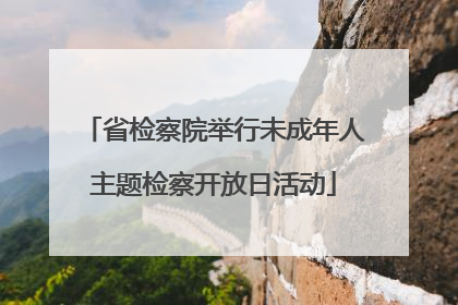 省检察院举行未成年人主题检察开放日活动