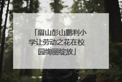 眉山彭山鹏利小学让劳动之花在校园绚丽绽放