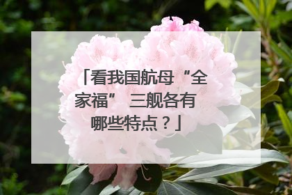 看我国航母“全家福” 三舰各有哪些特点？