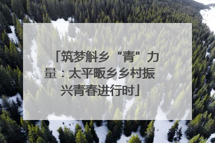 筑梦斛乡“青”力量：太平畈乡乡村振兴青春进行时