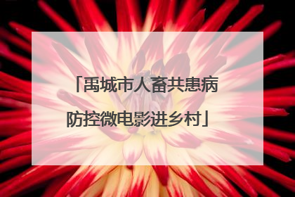 禹城市人畜共患病防控微电影进乡村