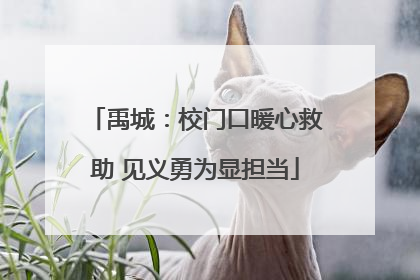 禹城：校门口暖心救助 见义勇为显担当