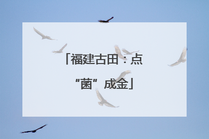 福建古田：点“菌”成金