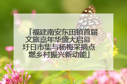 福建南安东田镇首届文旅嘉年华盛大启幕 圩日市集与杨梅采摘点燃乡村振兴新动能