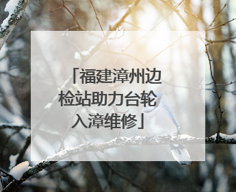 福建漳州边检站助力台轮入漳维修