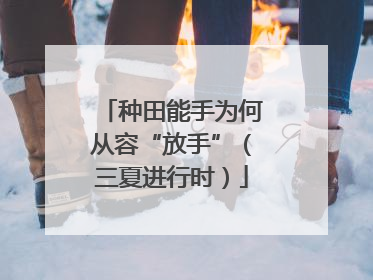 种田能手为何从容“放手”（三夏进行时）