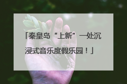 秦皇岛“上新”一处沉浸式音乐度假乐园！