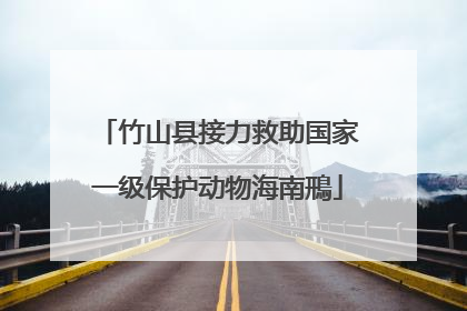 竹山县接力救助国家一级保护动物海南鳽