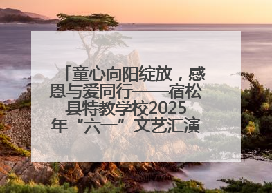 童心向阳绽放，感恩与爱同行——宿松县特教学校2025年“六一”文艺汇演圆满落幕