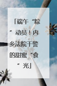 端午“粽”动员！内乡法院干警的甜蜜“食”光