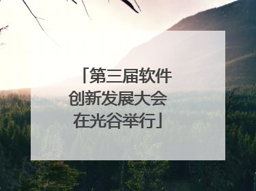 第三届软件创新发展大会在光谷举行
